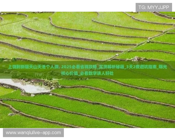 玩足球直播pc版彩票数字高频玩法防骗避坑指南